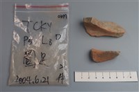 藏品(陶片)的圖片