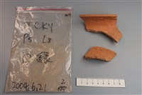 藏品(陶片)的圖片