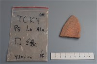 藏品(陶片)的圖片