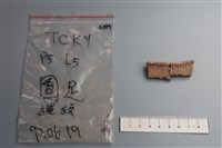藏品(陶片)的圖片