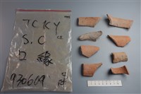 藏品(陶片)的圖片