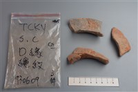 藏品(陶片)的圖片