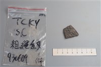 藏品(陶片)的圖片