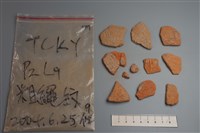 藏品(陶片)的圖片
