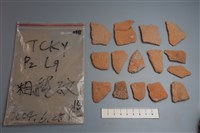 藏品(陶片)的圖片