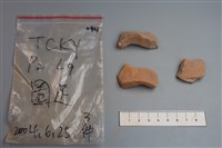 藏品(陶片)的圖片