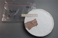 藏品(連杯形器)的圖片