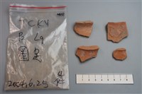 藏品(陶片)的圖片