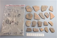 藏品(陶片)的圖片