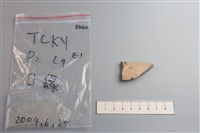 藏品(陶片)的圖片