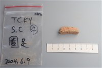 藏品(陶片)的圖片