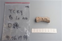 藏品(陶片)的圖片