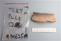 藏品(陶片)的圖片