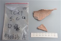 藏品(陶片)的圖片