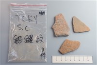 藏品(陶片)的圖片