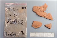 藏品(陶片)的圖片