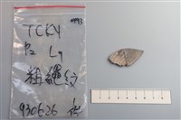 藏品(陶片)的圖片