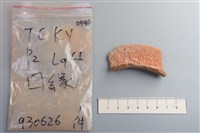 藏品(陶片)的圖片