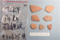 藏品(陶片)的圖片