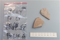 藏品(陶片)的圖片