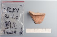 藏品(陶片)的圖片