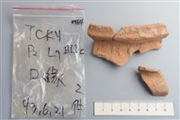 藏品(陶片)的圖片