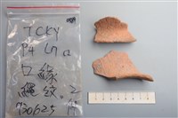 藏品(陶片)的圖片