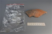 藏品(陶片)的圖片