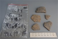 藏品(陶片)的圖片