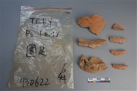 藏品(陶片)的圖片