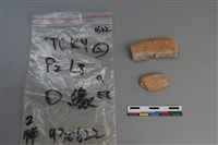 藏品(陶片)的圖片