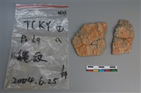 藏品(陶片)的圖片