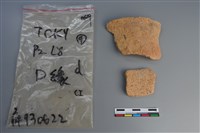 藏品(陶片)的圖片