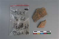 藏品(陶片)的圖片