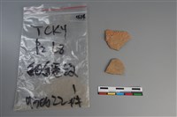 藏品(陶片)的圖片