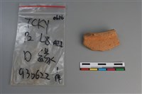 藏品(陶片)的圖片