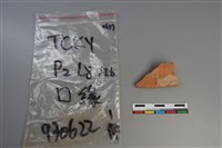 藏品(陶片)的圖片