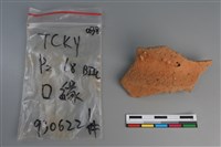 藏品(陶片)的圖片