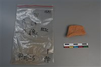 藏品(陶片)的圖片