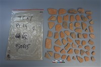 藏品(陶片)的圖片