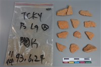 藏品(陶片)的圖片