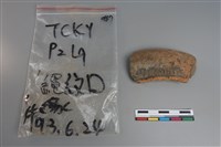 藏品(陶片)的圖片