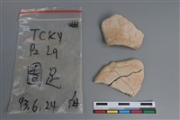 藏品(陶片)的圖片