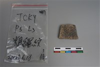 藏品(陶片)的圖片