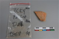 藏品(陶片)的圖片