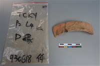 藏品(陶缽)的圖片