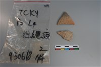 藏品(陶片)的圖片