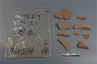 藏品(陶片)的圖片