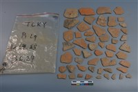 藏品(陶片)的圖片