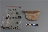 藏品(陶片)的圖片